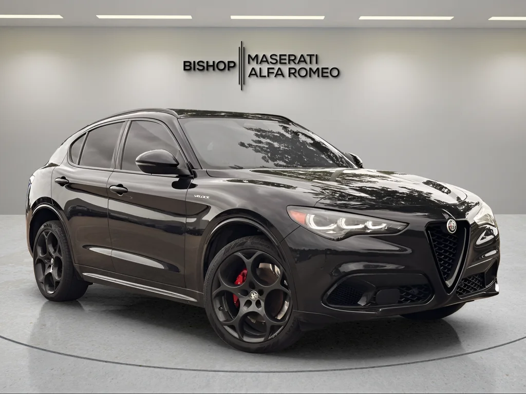 2025 Alfa Romeo Stelvio Stelvio AWD's photo