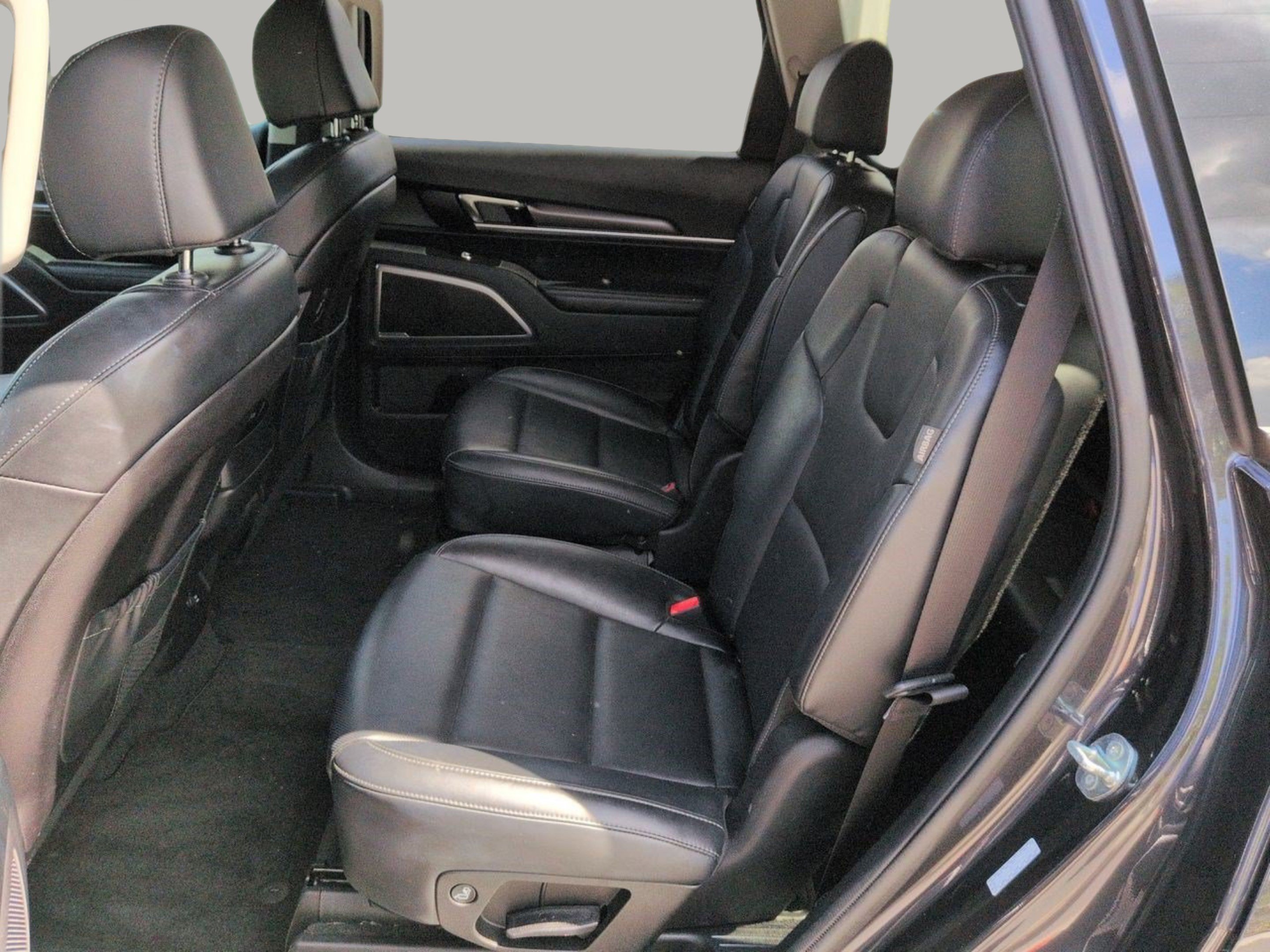 Used 2025 Panthera Metal Kia S image 18