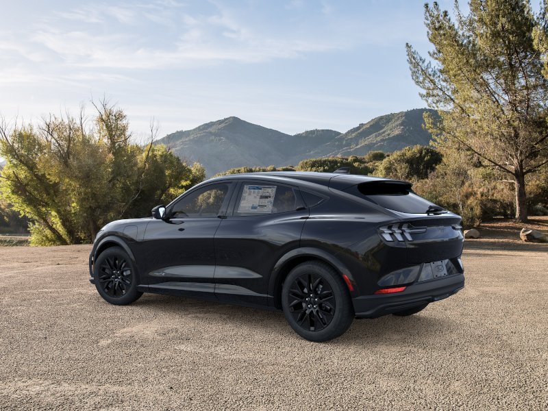 New 2026 Shadow Black Ford Premium image 32
