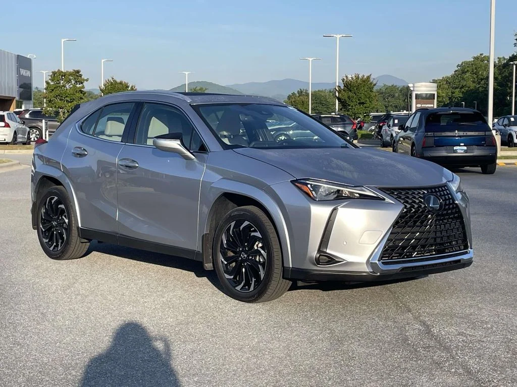 2023 Lexus UX 300h 250h Premium's photo