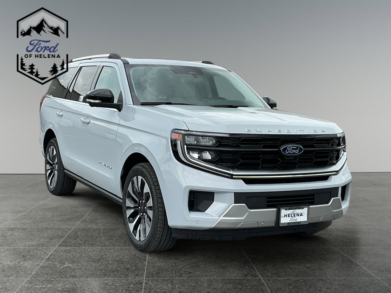 New 2026 Space Silver Metallic Ford Platinum image 7
