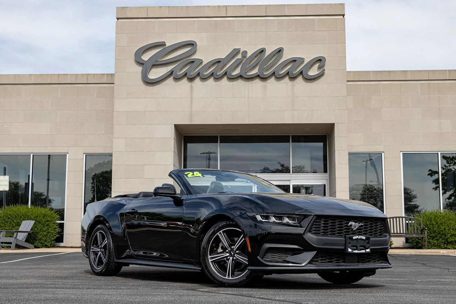 2024 Ford Mustang EcoBoost Premium Convertible's photo