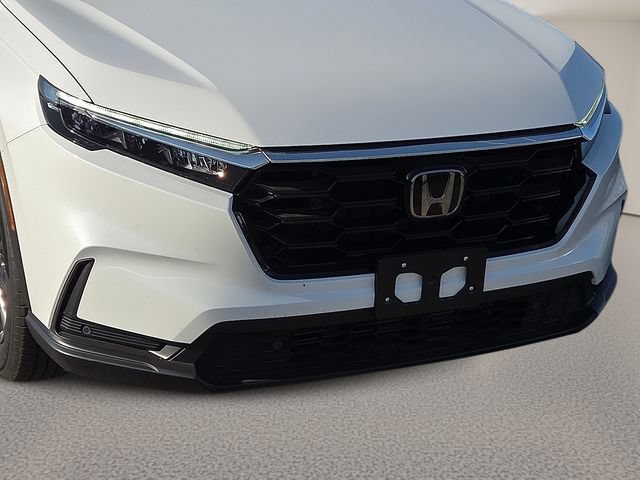 Used 2026 White Honda EX-L image 7
