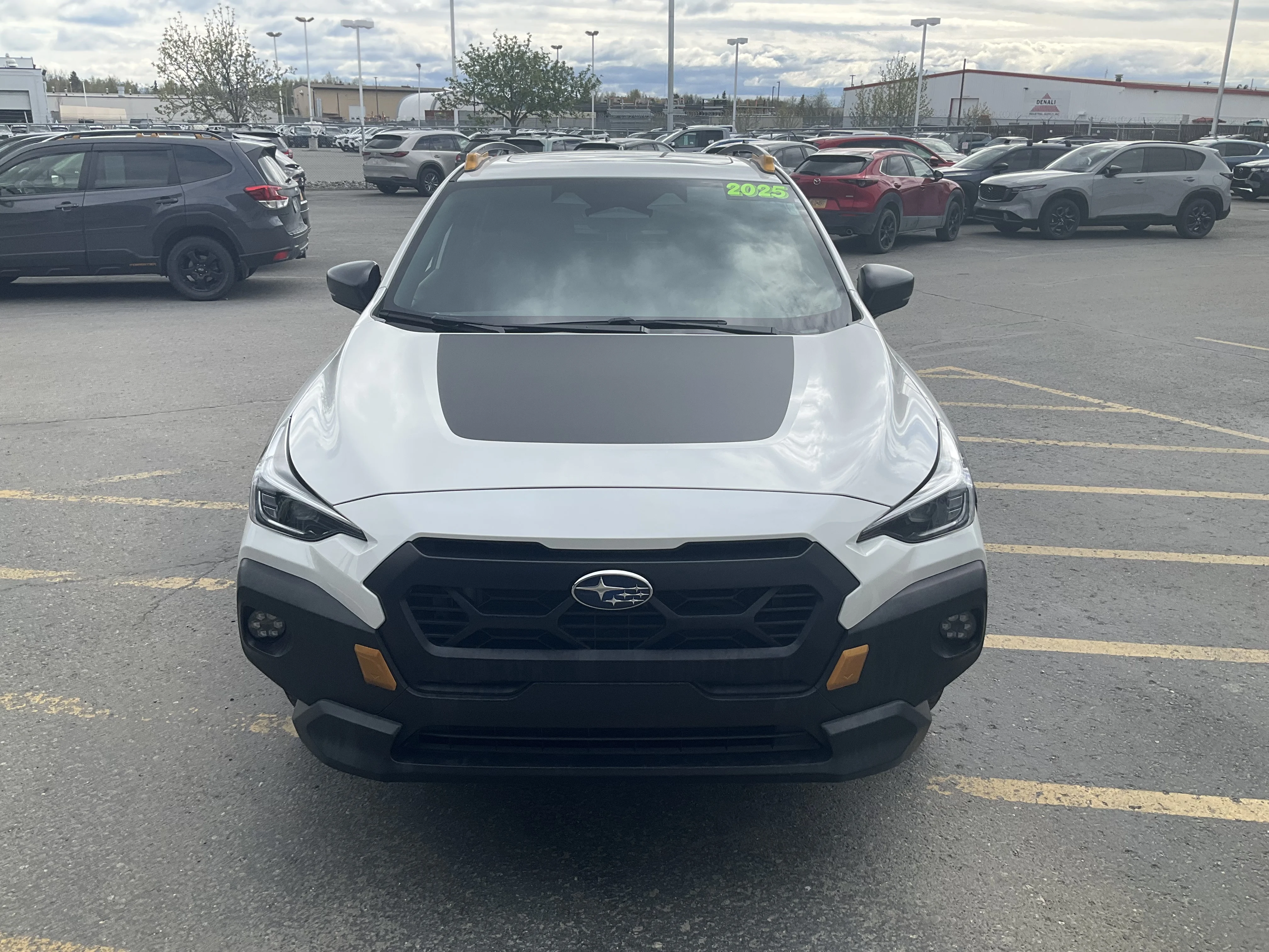 Used 2025 Crystal White Pearl Subaru Wilderness image 2
