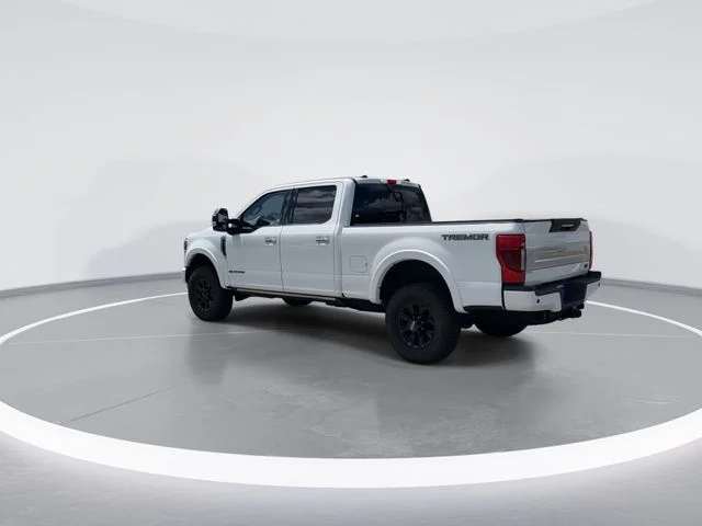 Used 2022 White Ford Platinum image 5