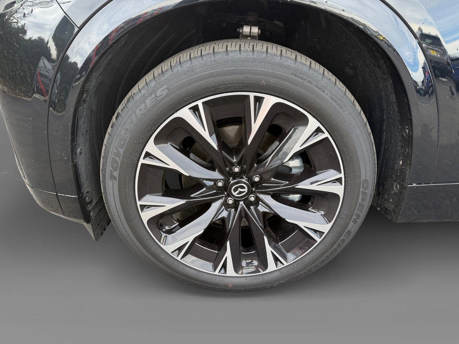 2025 Mazda CX-90 Premium Package - Photo 9