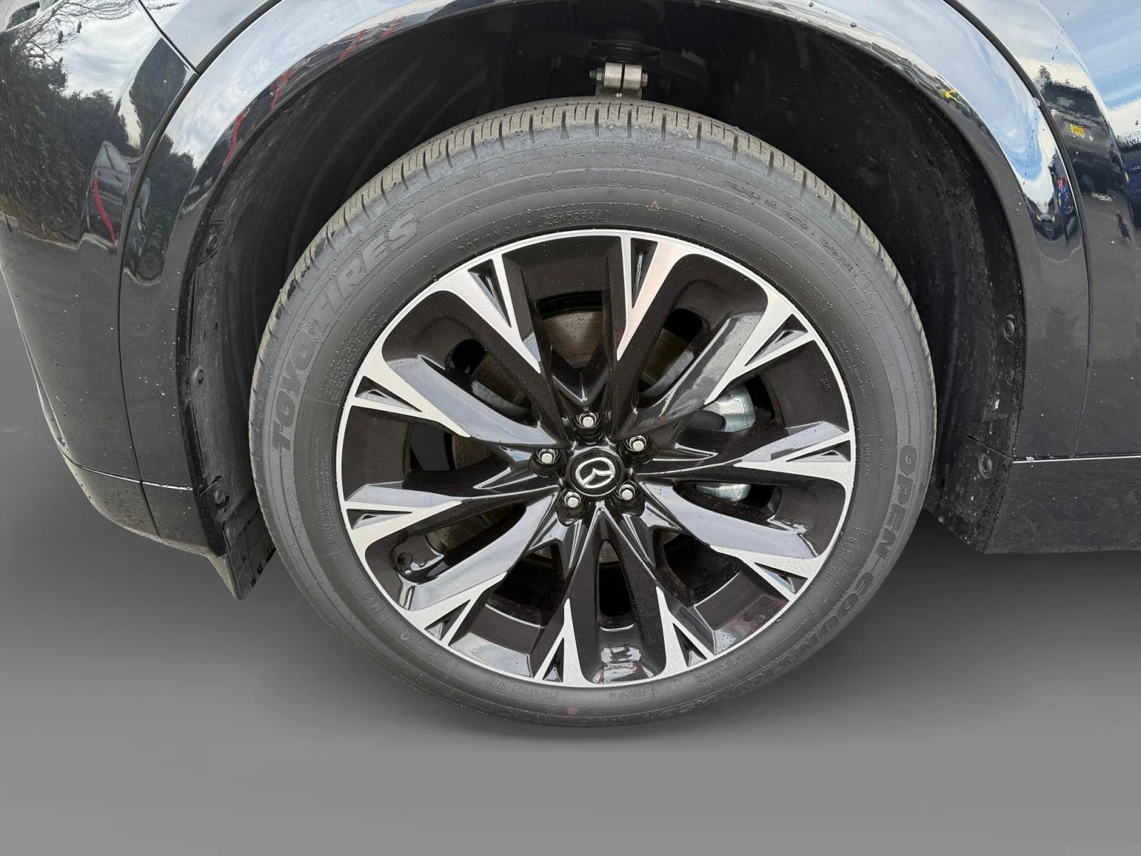 2025 Mazda CX-90 Premium Package - Photo 9