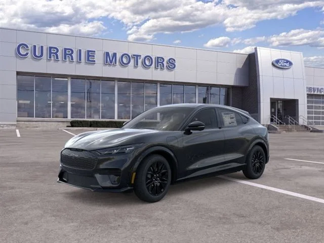 New 2026 Shadow Black Ford Premium image 23