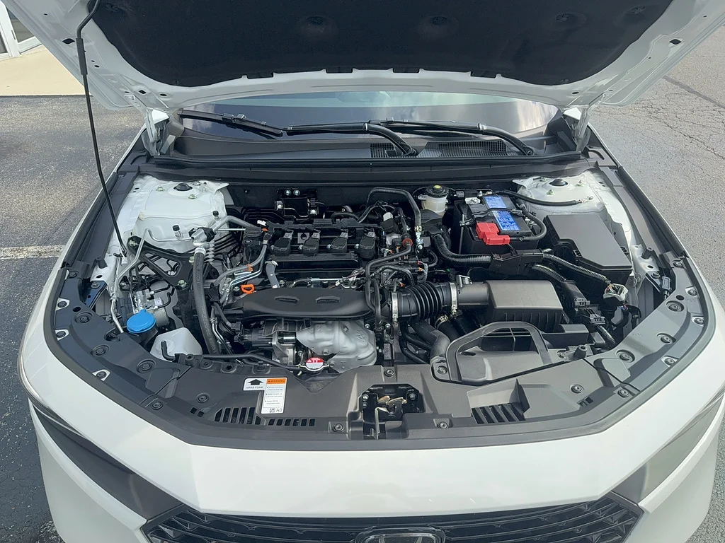 New 2026 Platinum White Pearl Honda SE image 16