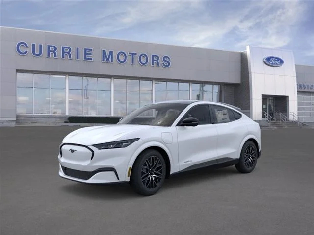 2026 Ford Mustang-Mach-e Premium's photo
