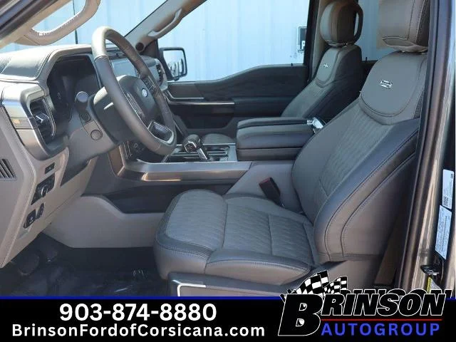 New 2026 Carbonized Gray Metallic Ford Platinum® image 34