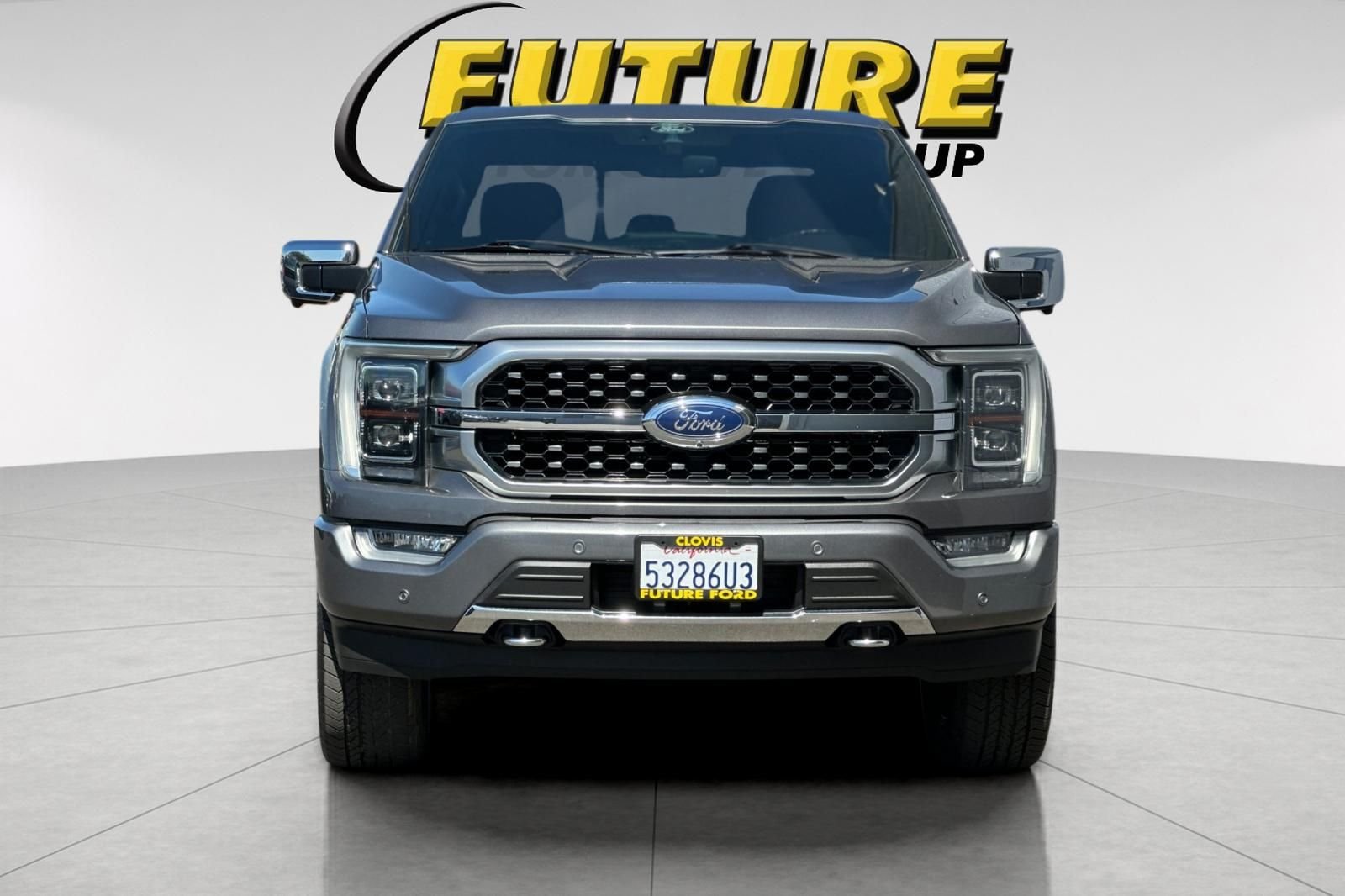 Used 2022 Gray Ford Platinum image 8