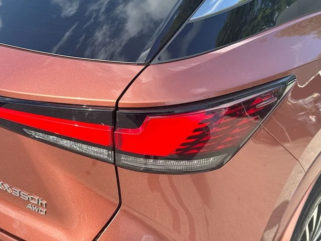 2024 Lexus RX Hybrid 350h - Photo 25