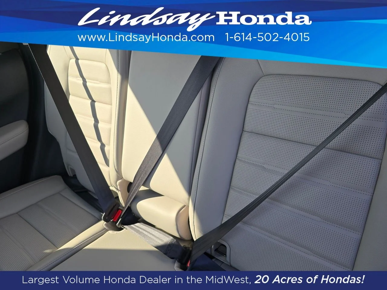 New 2026 Platinum White Pearl Honda EX-L image 4