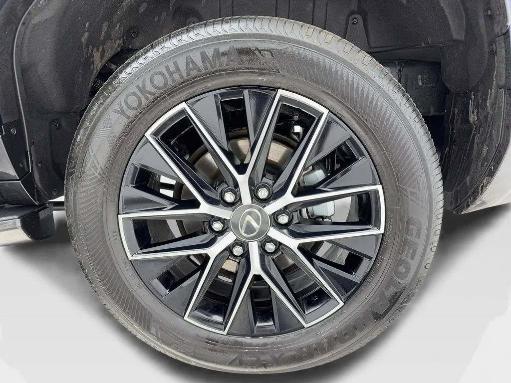 Used 2025 Blue Lexus 550 Premium+ image 49