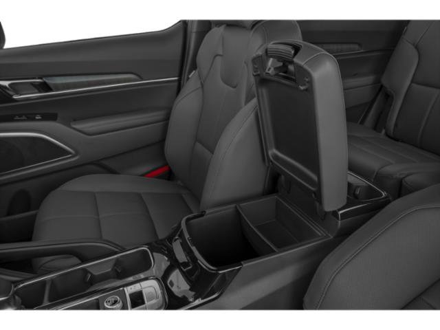 Used 2025 Panthera Metal Kia EX image 17
