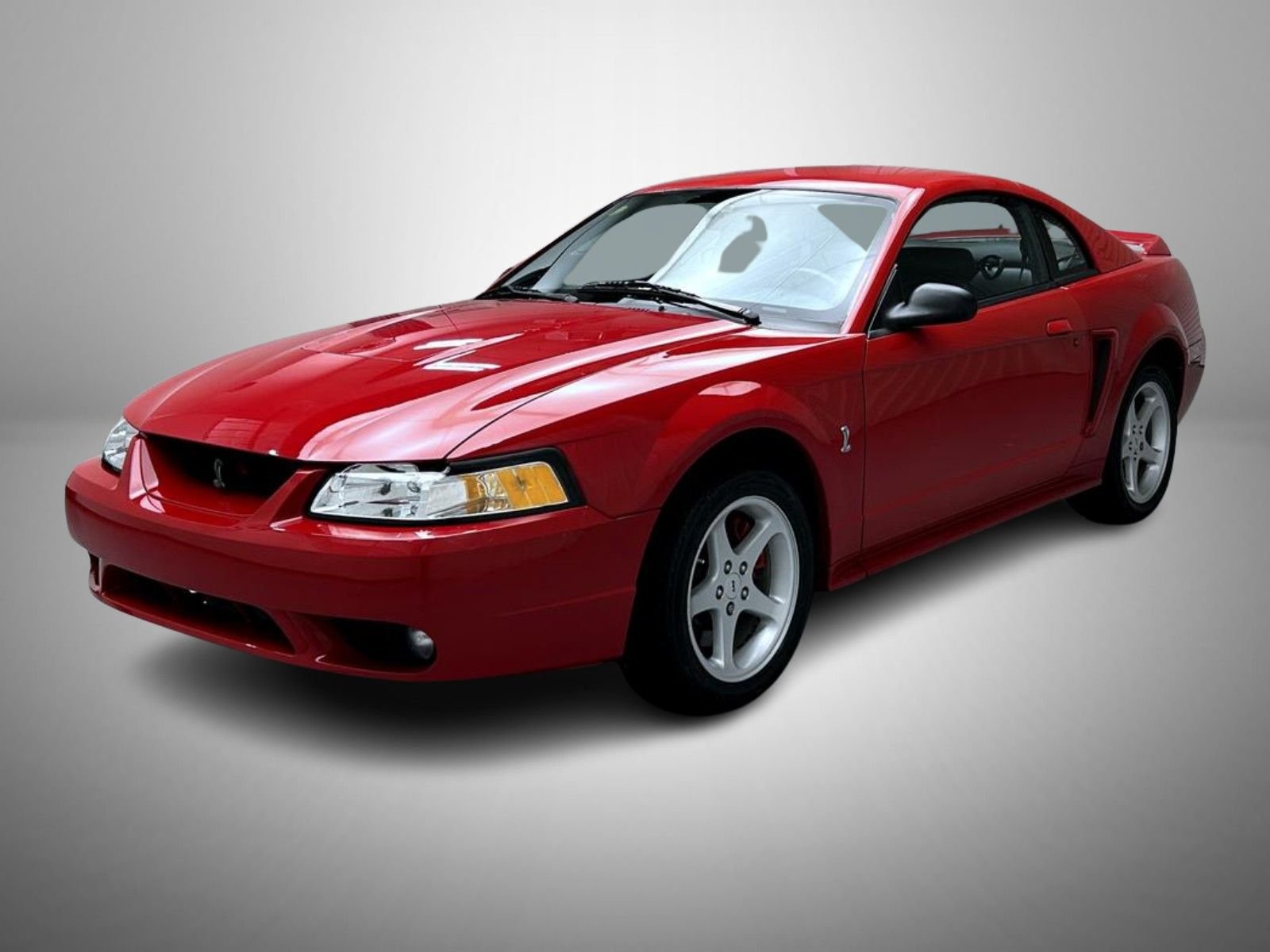 1999 Ford Mustang COBRA SVT's photo