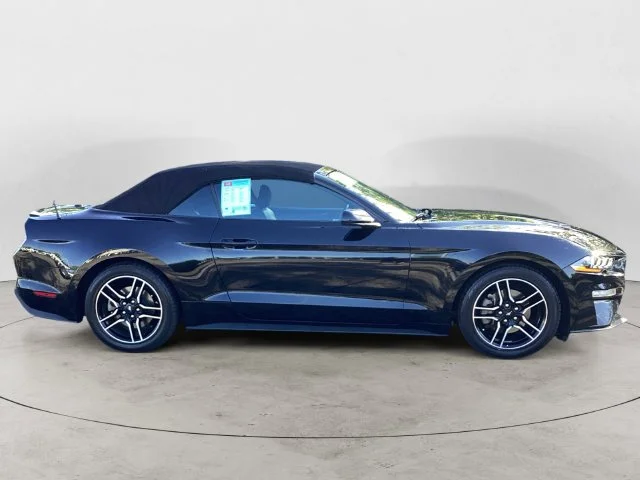 Used 2022 Shadow Black Ford Ecoboost Premium image 6