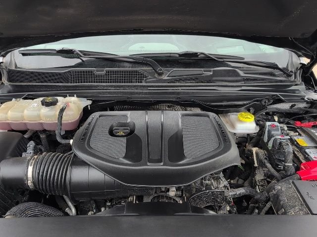 Used 2025 Black Ram Rebel image 25
