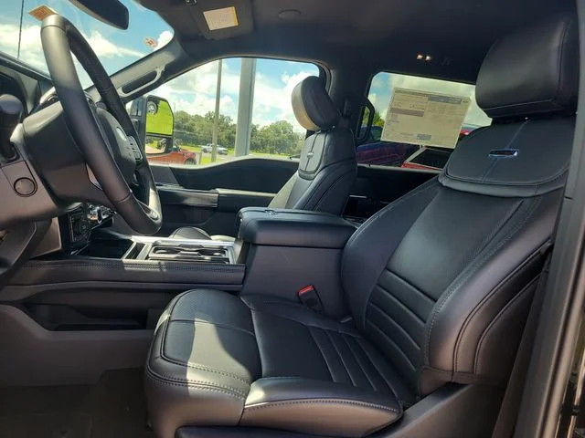 New 2026 Black Metallic Ford Platinum image 20
