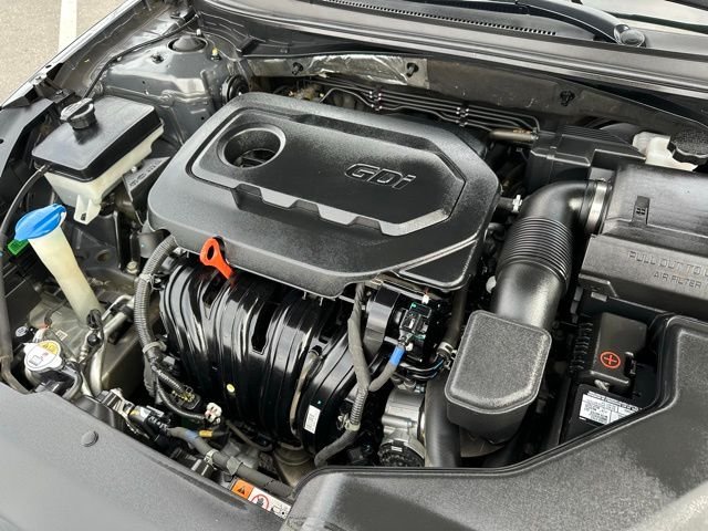 View 19