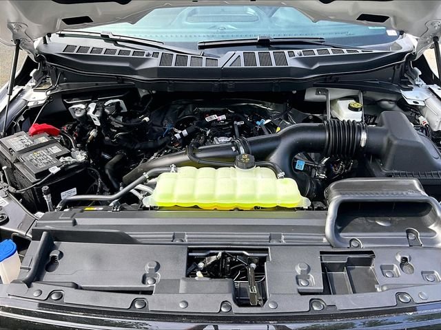 New 2026 Oxford White Ford XLT image 12