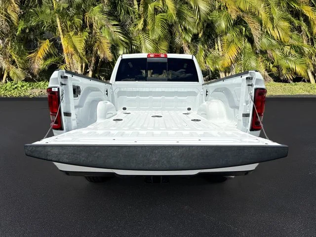 New 2026 Bright White Clear-Coat Exterior Paint RAM Black Express image 6