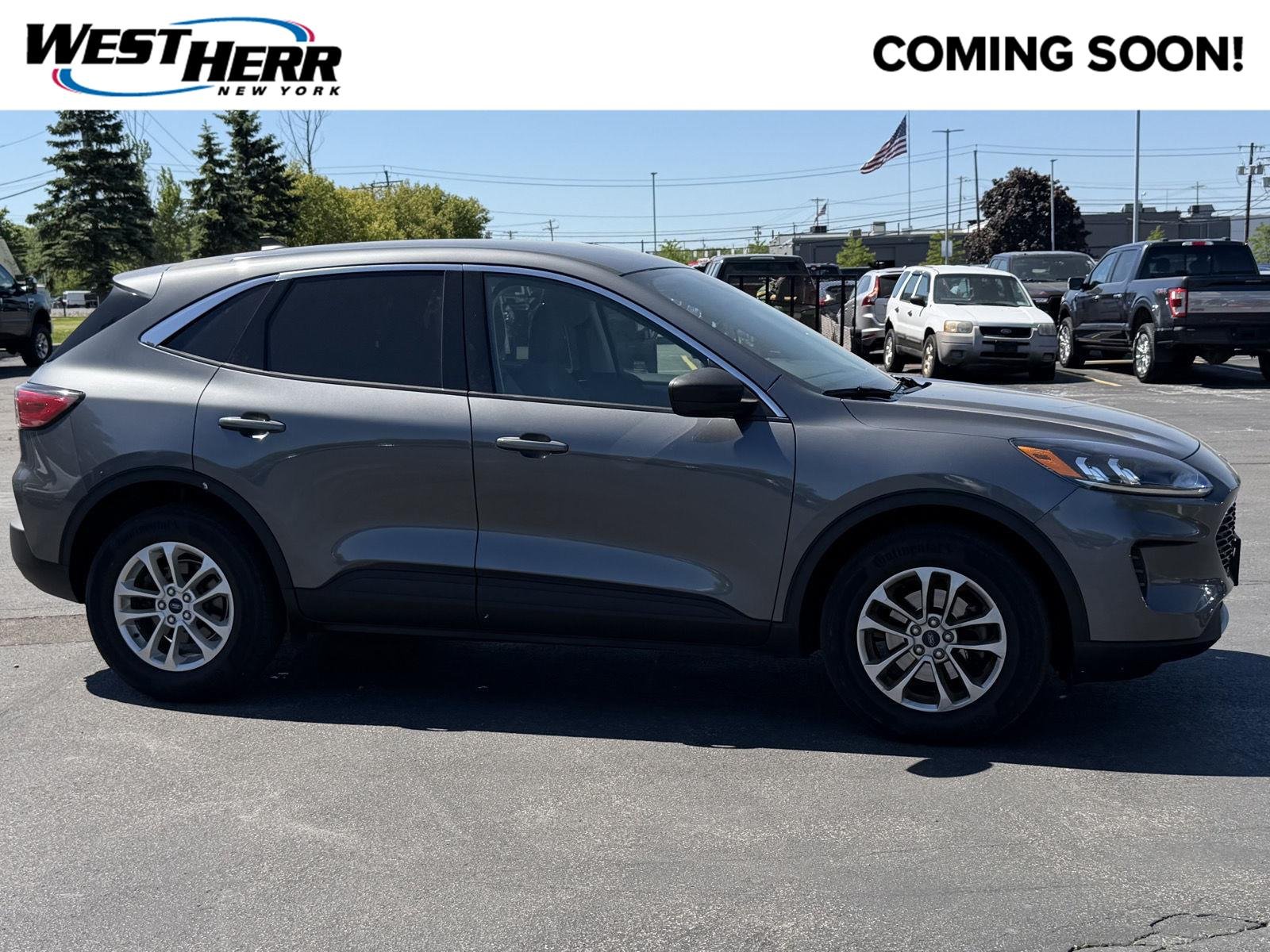 2022 Ford Escape SE AWD's photo