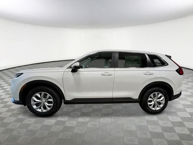 New 2026 Platinum White Pearl Honda LX image 2