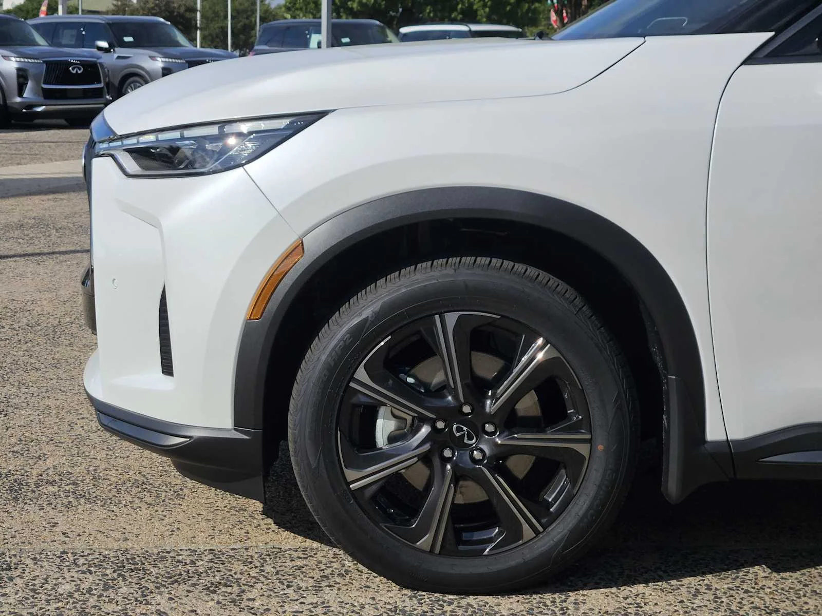 New 2027 2T RAD WHT INFINITI Autograph AWD image 5