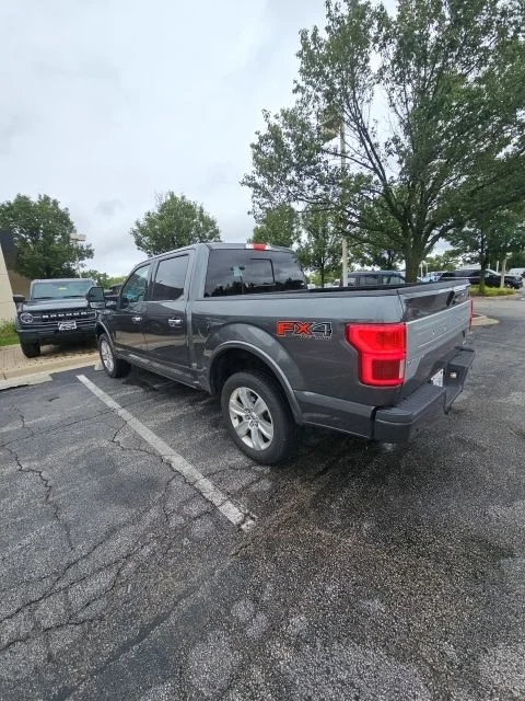 Used 2019 Magnetic Metallic Ford Platinum image 3