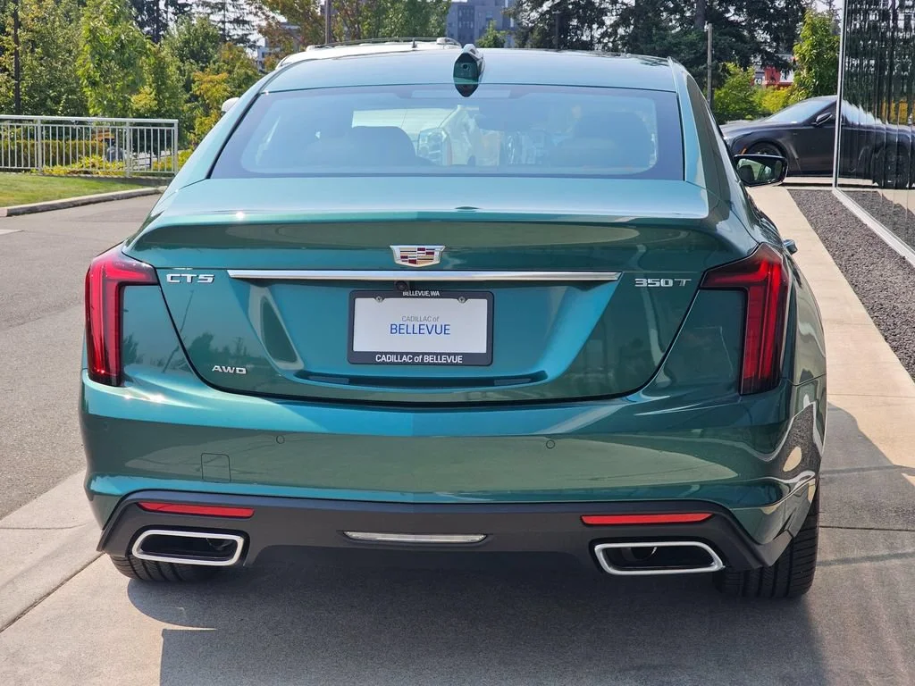 New 2026 Typhoon Metallic Cadillac Premium Luxury image 4