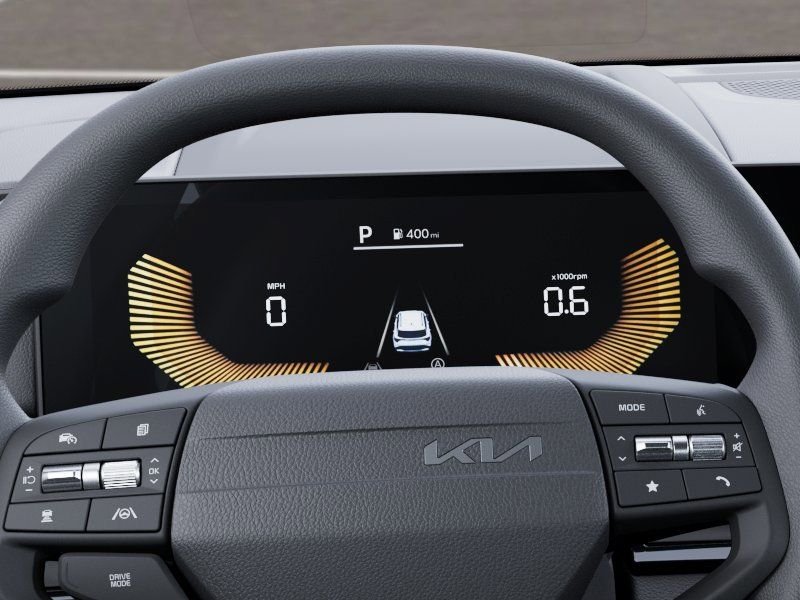 New 2026 Panthera Metal Gray Kia LX image 23