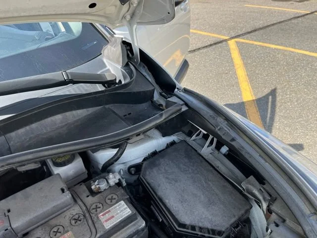 Used 2019 Blizzard Pearl w/Black Roof Toyota XLE image 23