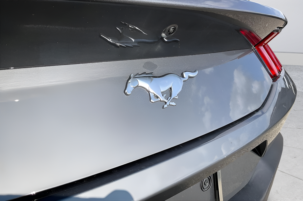 New 2026 Carbonized Gray Metallic Ford EcoBoost image 21