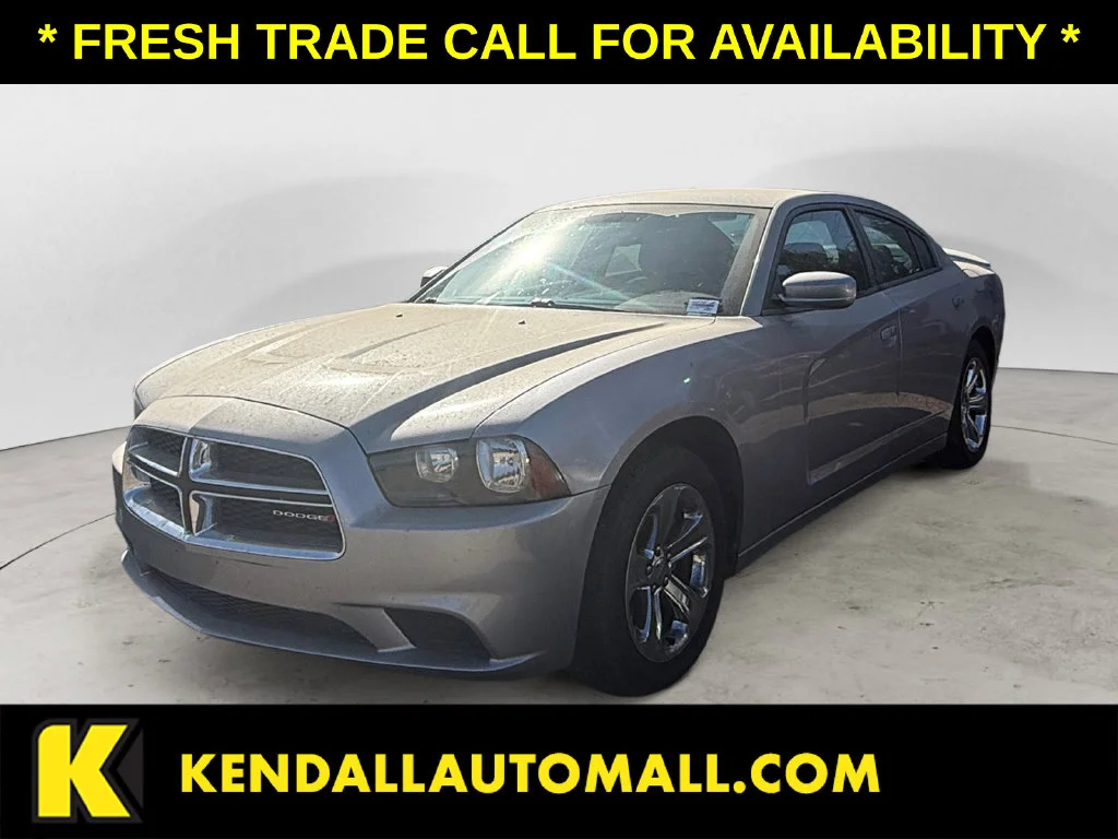 Used 2014 Silver Dodge SE image 1
