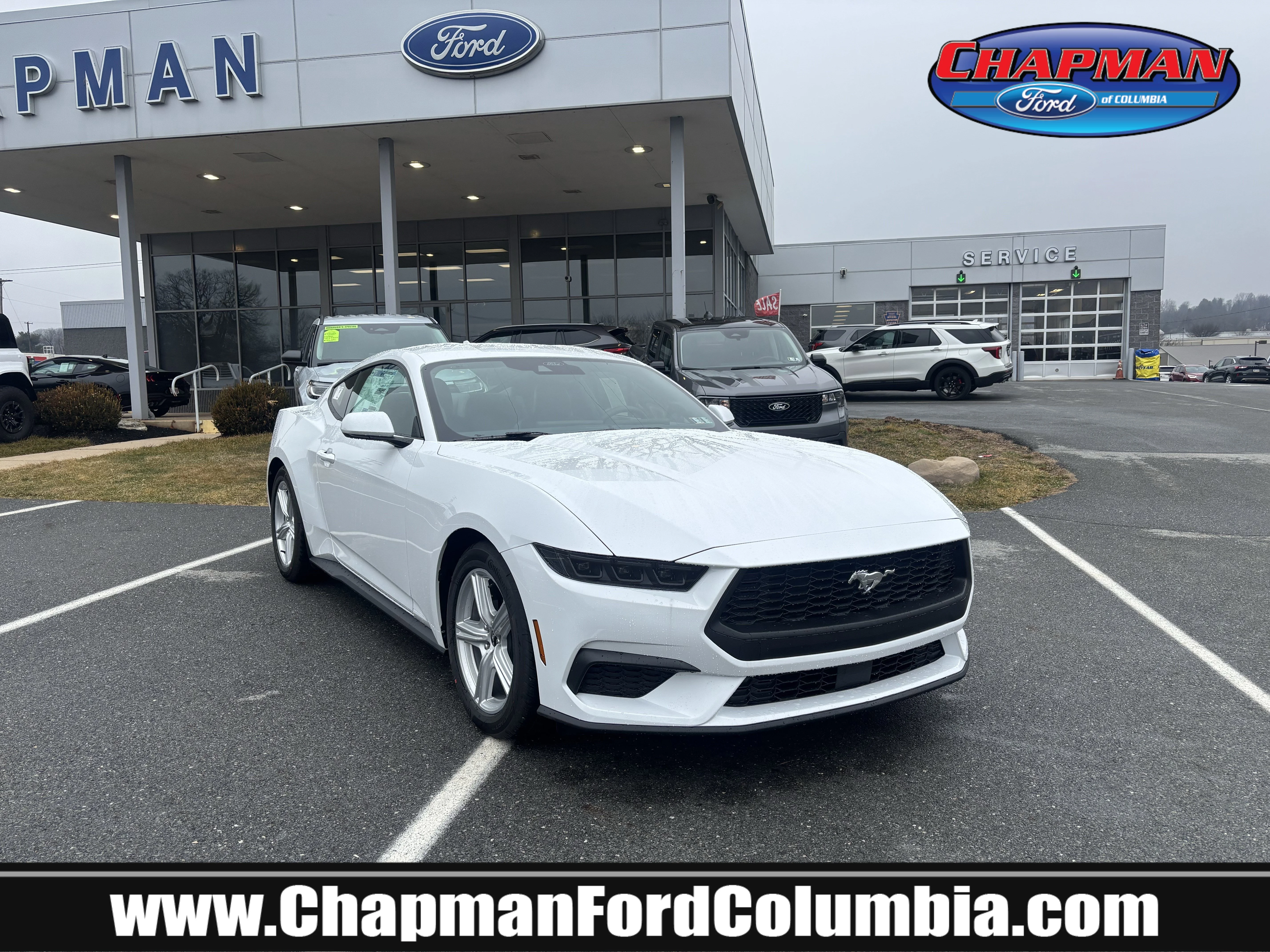 2026 Ford Mustang EcoBoost Fastback's photo