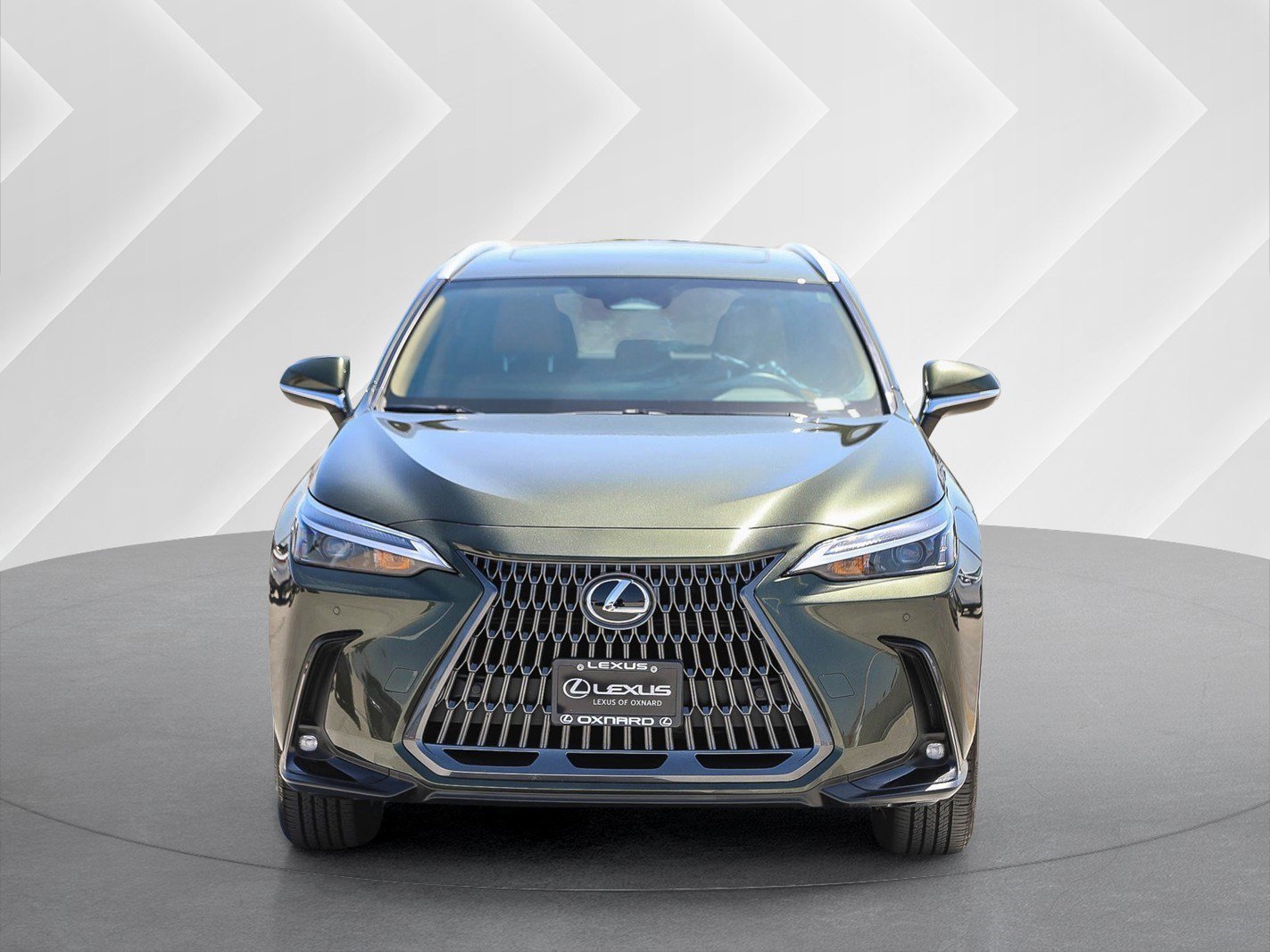 2025 Lexus NX 350h 350h AWD's photo