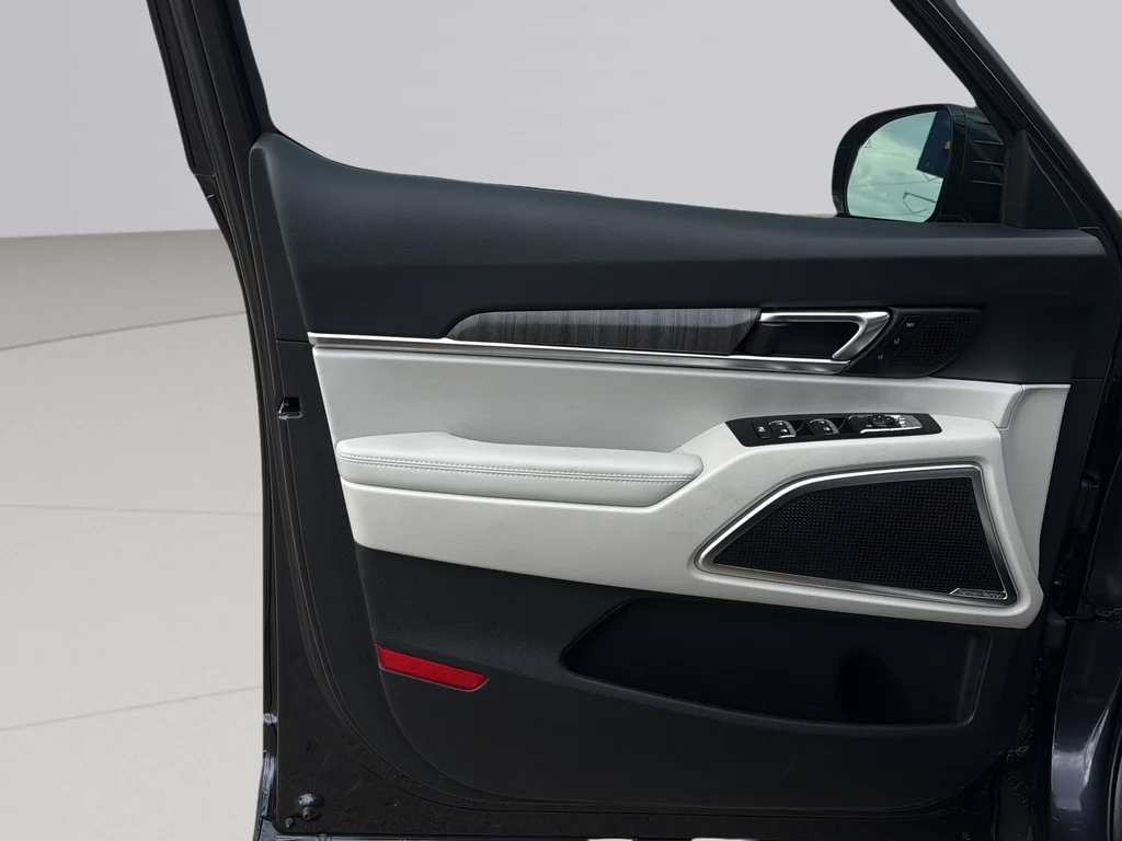 Certified Used 2025 Panthera Metal Kia SX image 25
