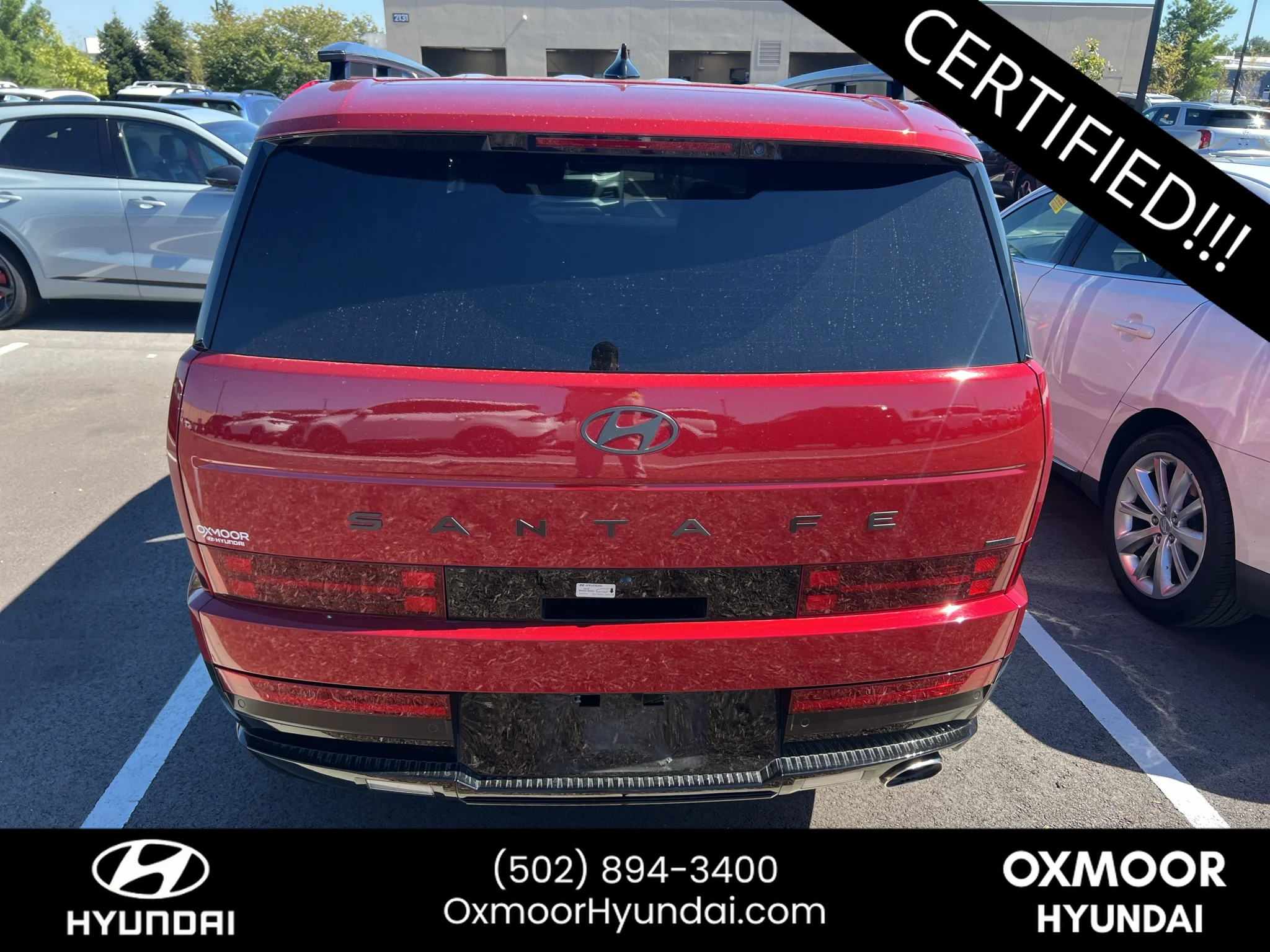 Used 2025 Red Hyundai Calligraphy image 20