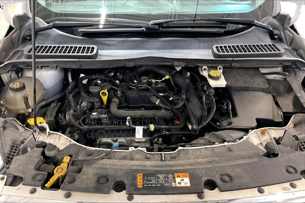 Used 2019 White Ford SEL image 9