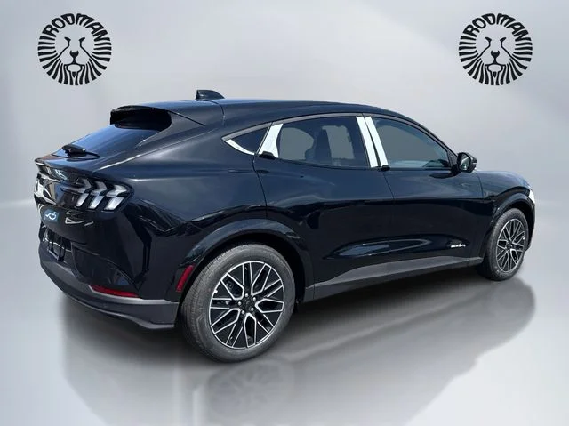 New 2026 Shadow Black Ford Premium image 5