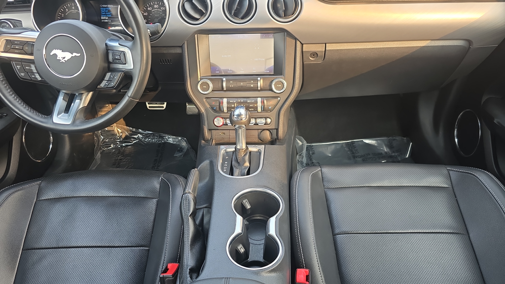 Used 2022 Black Ford EcoBoost Premium image 19