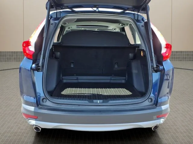 Used 2019 Blue Honda Touring image 11