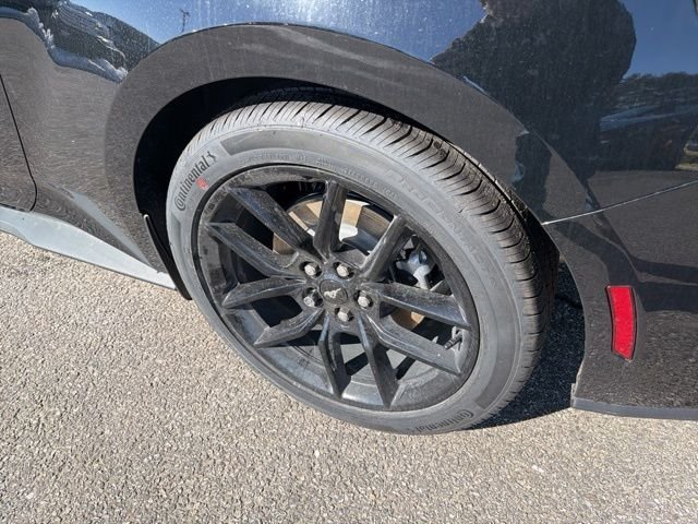 New 2026 Shadow Black Ford EcoBoost® Premium Convertible image 8