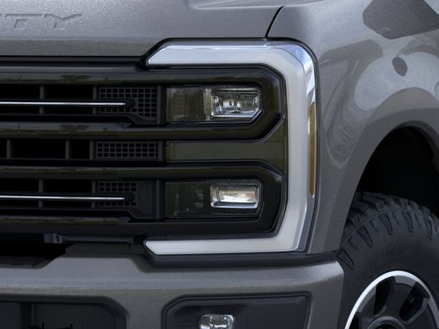 New 2026 Gray Ford Platinum image 40