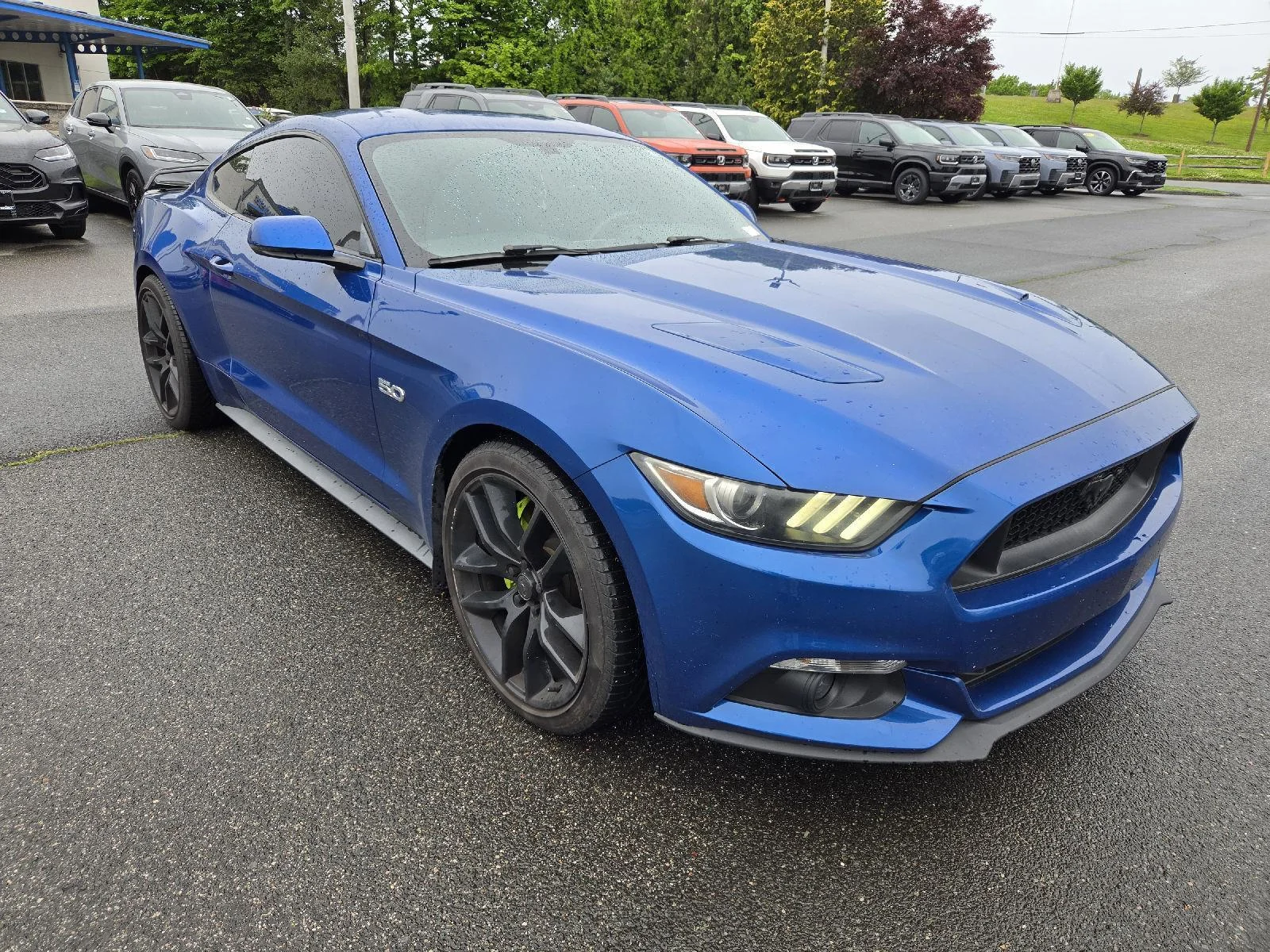 2017 Ford Mustang GT Coupe Premium's photo