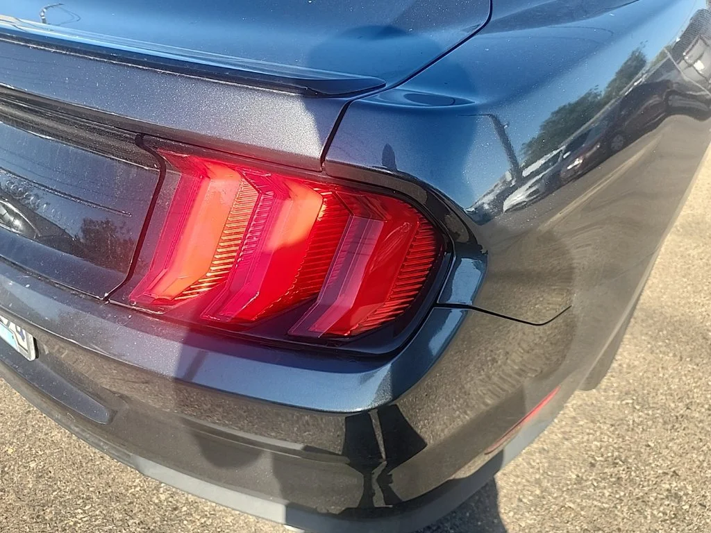Used 2019 Gray Ford EcoBoost image 13