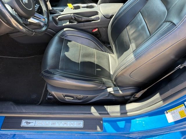 Used 2019 Blue Ford EcoBoost Premium image 8