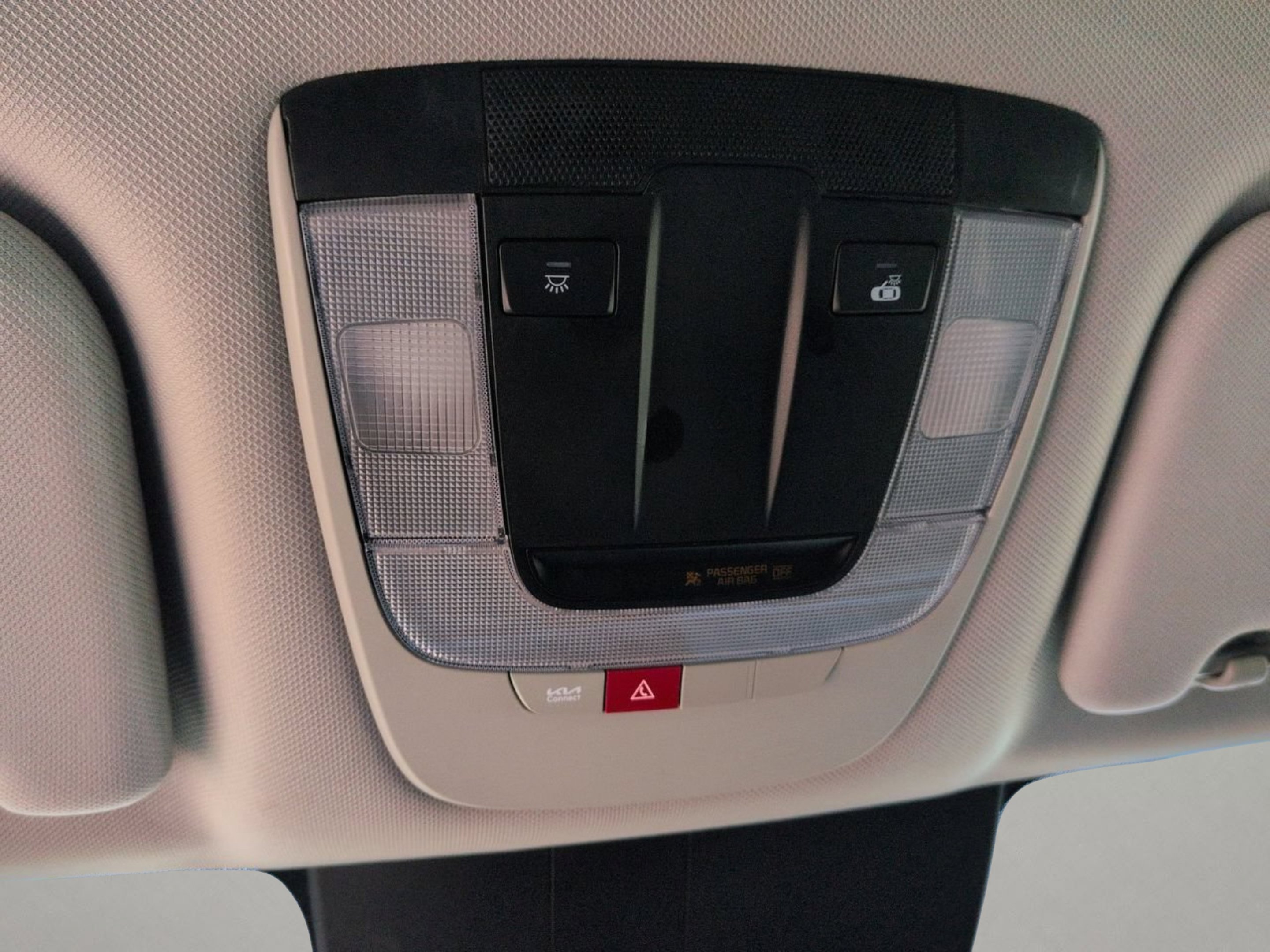 Used 2025 Panthera Metal Kia S image 19